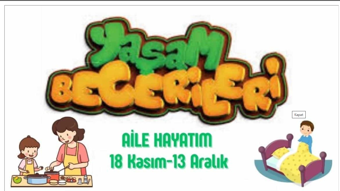 YAŞAM BECERİLERİ PROJESİ 